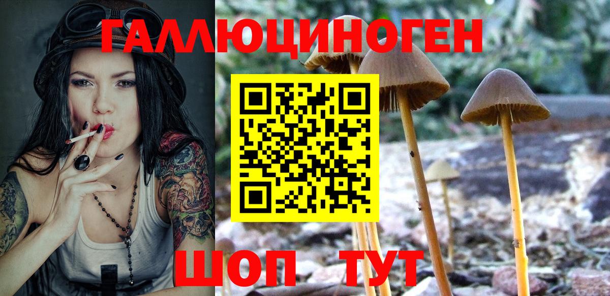 Псилоцибиновые грибы прущие грибы  Псилоцибиновые грибы GOLDEN TEACHER  Вход с VPN  Татарск 